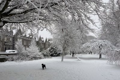 Forecasters warn of more heavy snow across swathes of northern Scotland