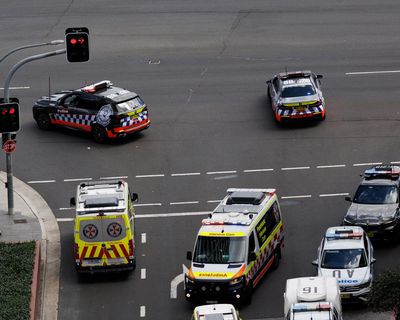 Man dies in Sydney after being pepper-sprayed by NSW police during arrest