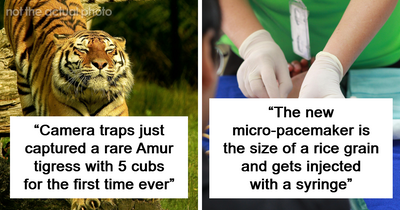 100 Facts That Linger In Your Head For Days