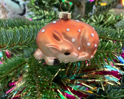 Country diary: Twelfth night tugs at the heart, but these decorations must come down