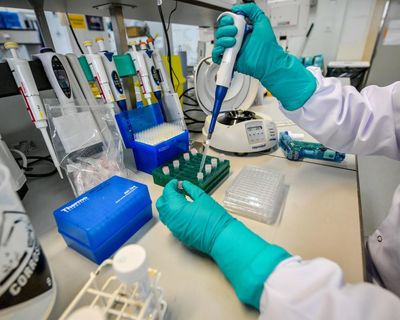 Porton Down shake-up harming critical national security science, whistleblower warns