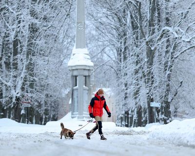 Snow and ice close hundreds of schools across UK as Storm Goretti expected this week