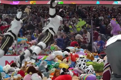 Moment 80,000 teddy bears are thrown onto ice rink during hockey game