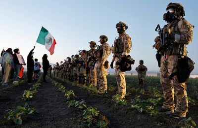 US abandons child exploitation and drug cases to prioritize ICE, Democrats allege