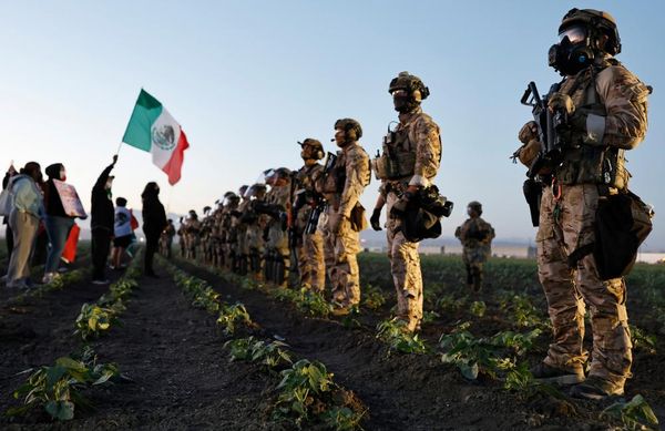 US abandons child exploitation and drug cases to prioritize ICE, Democrats allege