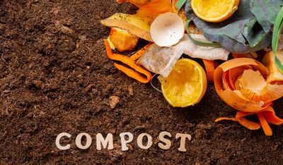 Is Composting at Home Still the Cheapest Soil Option?