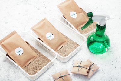 Are Store-Bought Seed Kits Worth the Price?