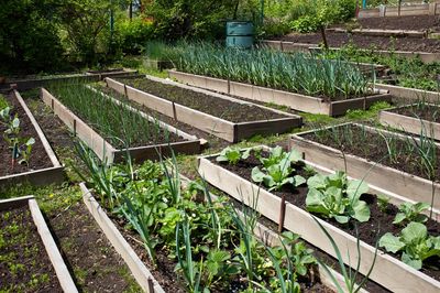 8 Garden Layout Changes That Cut Costs All Season