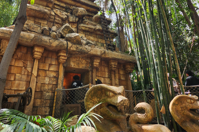 Disney fan injured after fight breaks out over line jumping at one of resort’s most popular rides: ‘Someone took exception to that’