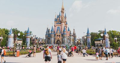 Sixth Body Found At Disney World In Just Four Months As Horror Continues For “Magical” Theme Park