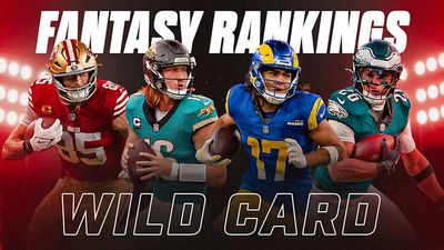 Wild-Card Round Fantasy Football Rankings for Every Position in PPR Leagues