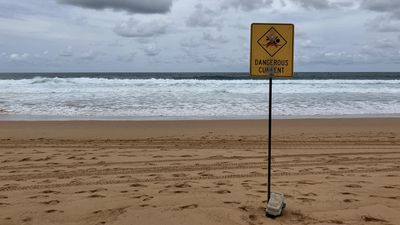 Body of a snorkeller who vanished for five days found