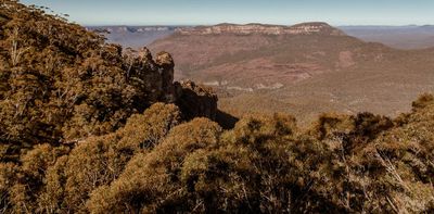 Yes, forest trees die of old age. But the warming climate is killing them faster