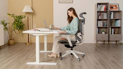 FlexiSpot E7 Pro Standing Desk Review: strong and aesthetically pleasing for any home office set-up