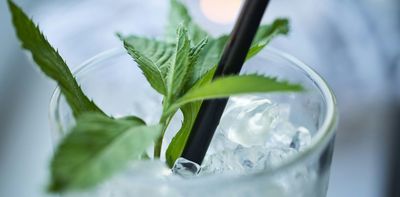 Why does mint make water taste so cold? A scientist explains