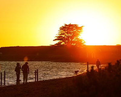 Melbourne hits 40C as Australia’s most severe heatwave in six years descends on south-eastern states
