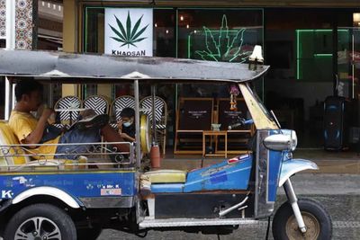 Cannabis shops face clampdown