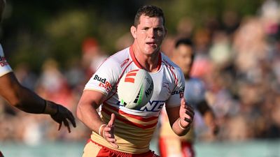 Dolphins skipper back 'in love' after torrid years