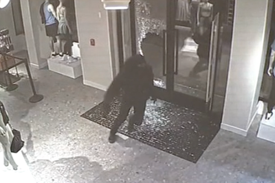 Police hunt for masked suspects who looted a Pennsylvania Lululemon in overnight smash and grab