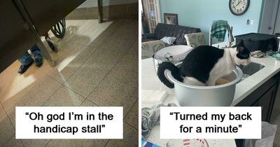 60 People Who Woke Up Expecting A Normal Day And Got This Instead (New Pics)