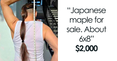 68 Times People Tried To Make Money On Craigslist, Only For Hilarity To Ensue (New Pics)