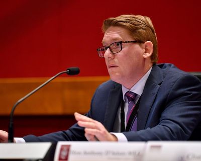 NSW MP asks home affairs minister to investigate potential foreign interference after Israel ‘targets’ him in dossier