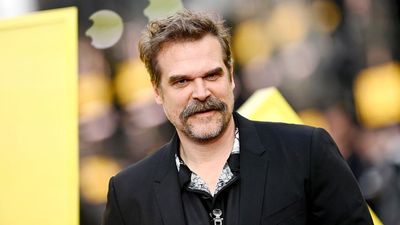 David Harbour Steps Back From Behemoth! After Stranger Things Finale & Lily Allen Fallout