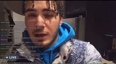 Who Is Kick Streamer LilDealy: Animal Abuse Case That Cost Him His Dog and Reputation