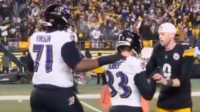 New Video Shows Chris Boswell's Classy Gesture to Ravens’ Tyler Loop After Missed FG