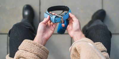 Why grieving a pet can be as hard as grieving a person