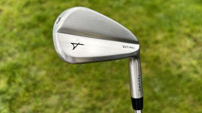 Takomo 201T MKII Iron Review