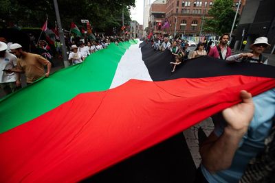 ‘We will defy these laws’: challenge lodged against NSW protest legislation that could stop Invasion Day rallies