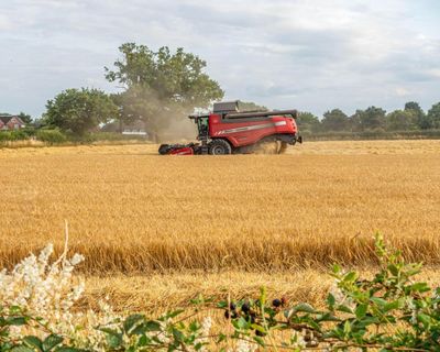 Smaller farms in England to be prioritised for nature funding, minister to announce