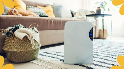 Why is my dehumidifier blowing out cold air? Is it still working? Appliance experts provide answers