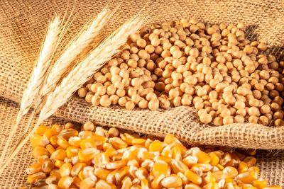 Grain Market Update: The Outside Forces Moving Corn, Wheat, and Soybeans Now