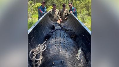 Huge croc caught near tourist spot prompts warnings