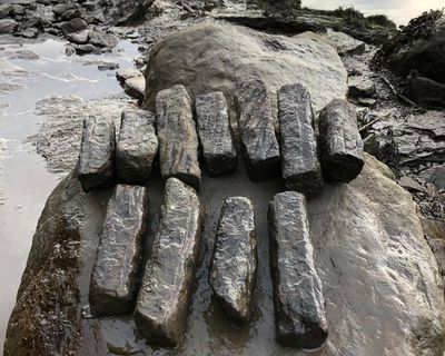 Archaeologists discover signs of Roman industrial hub at site in Sunderland