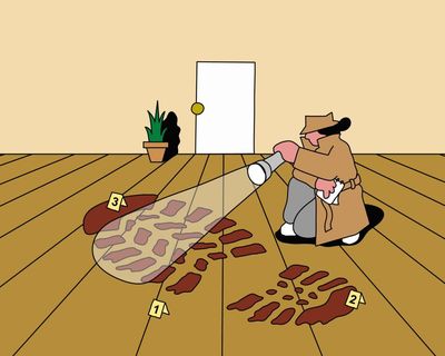 You be the judge: should my housemate take her shoes off inside our home?