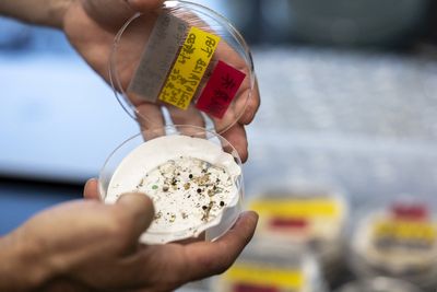 Scientists detect hidden plastic clouds hovering over Chinese cities