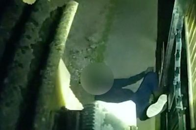 Suspected burglar falls from wall after being tasered by Met Police officer