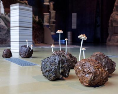 Fungi: Anarchist Designers review – a perverse plunge into mushroom mayhem, from stinkhorns to zombie-makers