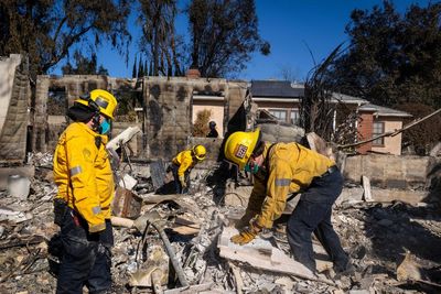 Fema staff outraged by draft plans for deep cuts under Trump