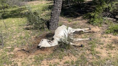 Flood-hit region braces for devastating cyclonic deluge