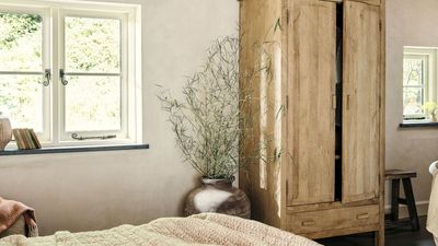 I Tried the Influencer Lookbook Decluttering Method to Spot Closet ‘Space Hogs’ – It Finally Broke My Clutter Cycle