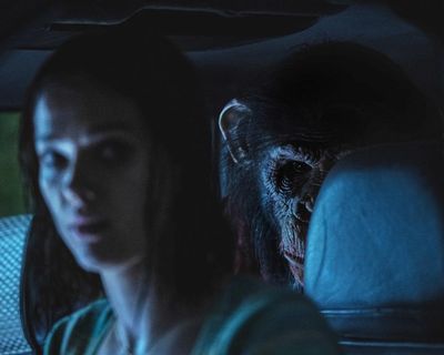 Primate review – pet chimp gone wild makes for giddy, gory good time
