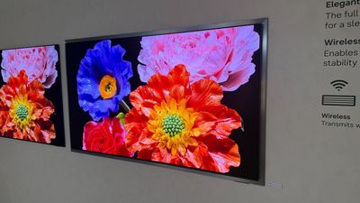 Last year’s OLED TVs were about pure performance; this year, there’s a bigger differentiator