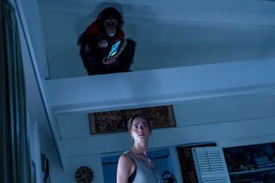 The Goriest Horror Movie Of The Year Features A Bloodthirsty Chimpanzee