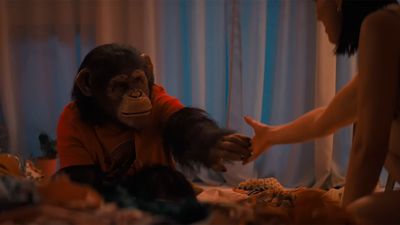 Upcoming chimp-themed horror movie Primate debuts to overwhelmingly positive first reactions, comparing it to Stephen King's Cujo and Jordan Peele's Nope