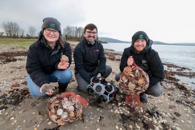 Thousands of oysters planted in Belfast Lough to restore species in the waterway