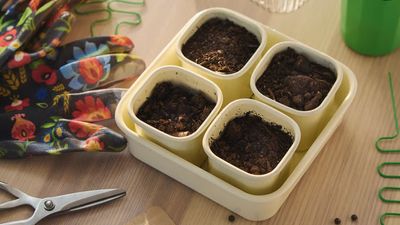 IKEA's latest collection is a plant parent's dream, and it starts at just $9